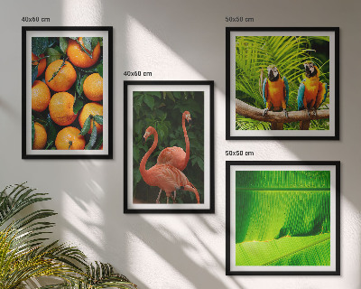 Multi-piece wall decor set Fruity accents of the tropics