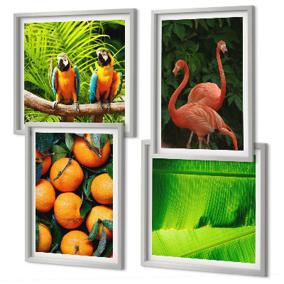 Multi-piece wall decor set Fruity accents of the tropics