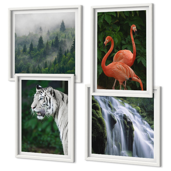 Wall art set Tiger waterfall flamingos nature