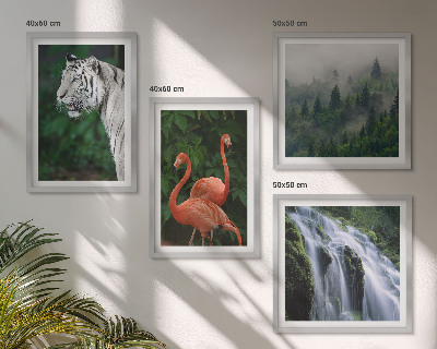 Wall art set Tiger waterfall flamingos nature