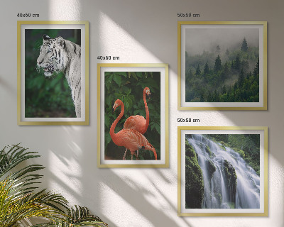 Wall art set Tiger waterfall flamingos nature