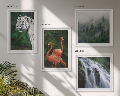 Wall art set Tiger waterfall flamingos nature