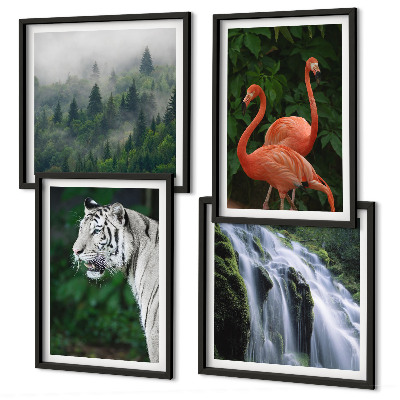 Wall art set Tiger waterfall flamingos nature