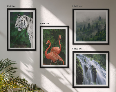Wall art set Tiger waterfall flamingos nature