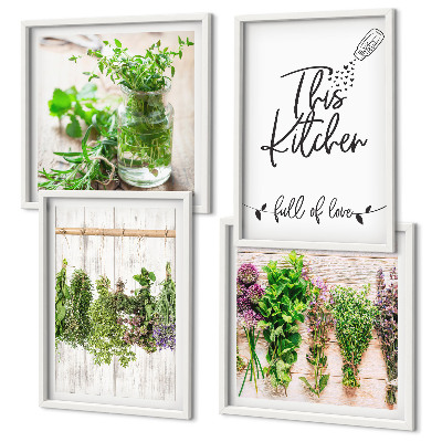 Multi-piece wall decor set Herbs plants for the kitchen drying