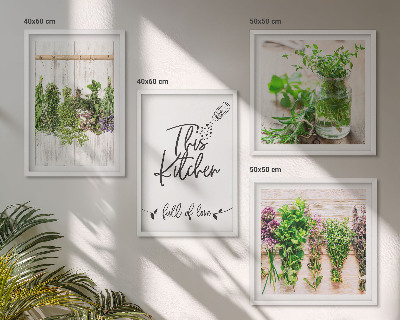 Multi-piece wall decor set Herbs plants for the kitchen drying