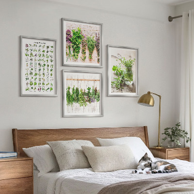 Wall art set Dried herbs for the kitchen