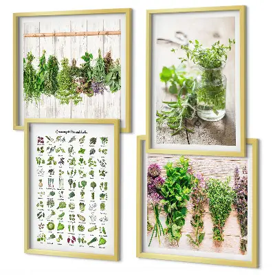 Dried herb wall art set for the kitchen