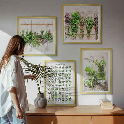 Wall art set Dried herbs for the kitchen