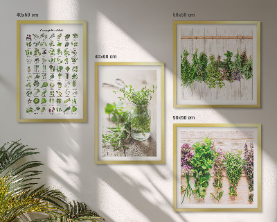 Wall art set Dried herbs for the kitchen
