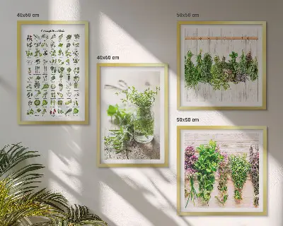Dried herb wall art set for the kitchen