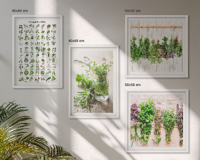 Wall art set Dried herbs for the kitchen