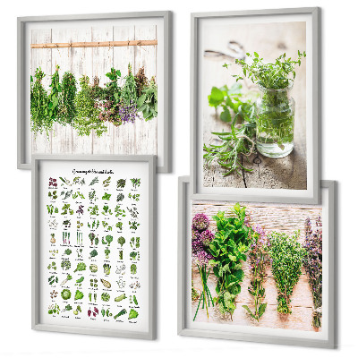 Wall art set Dried herbs for the kitchen