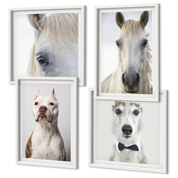 Set of 4 wall art pieces Portraits of dogs and horses elegantly
