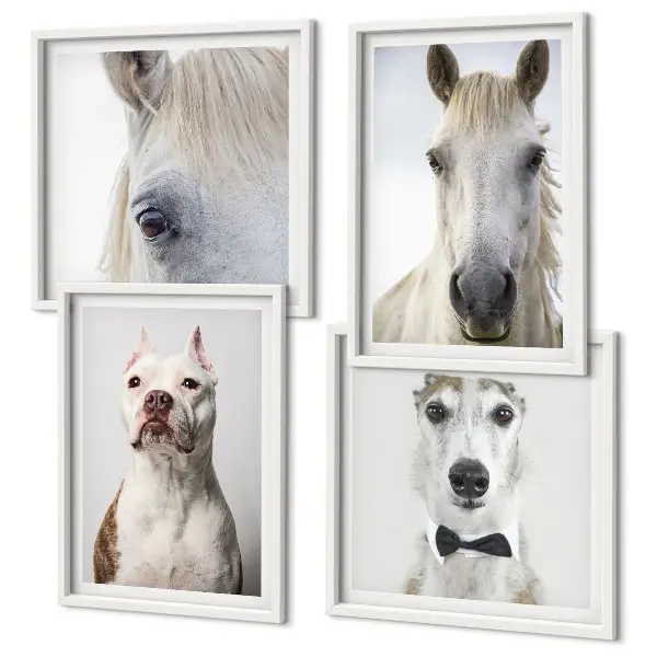 Portraits of dogs and horses wall art set of 4 pieces