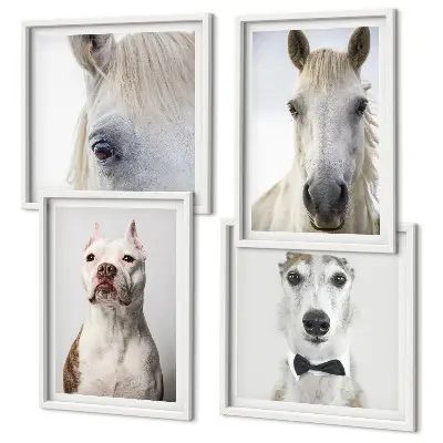 Portraits of dogs and horses wall art set of 4 pieces