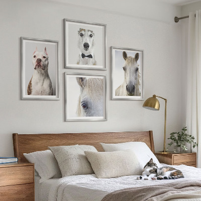 Set of 4 wall art pieces Portraits of dogs and horses elegantly