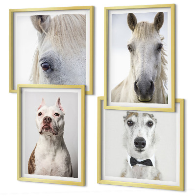 Set of 4 wall art pieces Portraits of dogs and horses elegantly