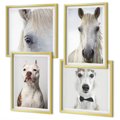 Portraits of dogs and horses wall art set of 4 pieces