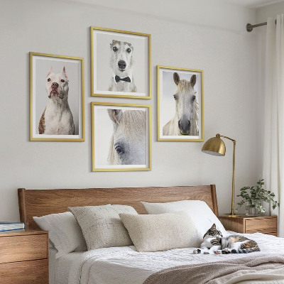 Set of 4 wall art pieces Portraits of dogs and horses elegantly