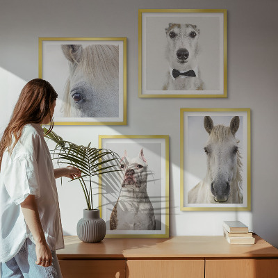 Set of 4 wall art pieces Portraits of dogs and horses elegantly