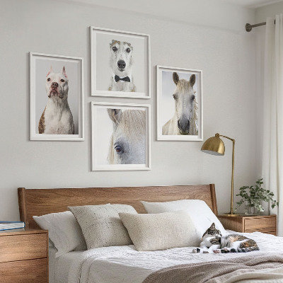 Set of 4 wall art pieces Portraits of dogs and horses elegantly