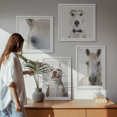 Set of 4 wall art pieces Portraits of dogs and horses elegantly