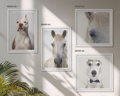 Set of 4 wall art pieces Portraits of dogs and horses elegantly