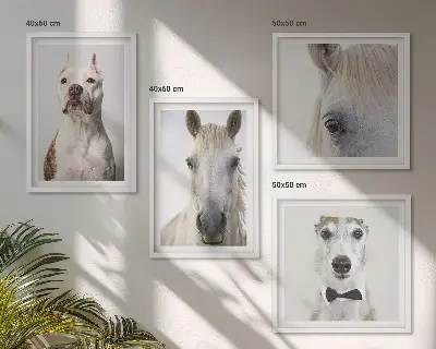 Portraits of dogs and horses wall art set of 4 pieces