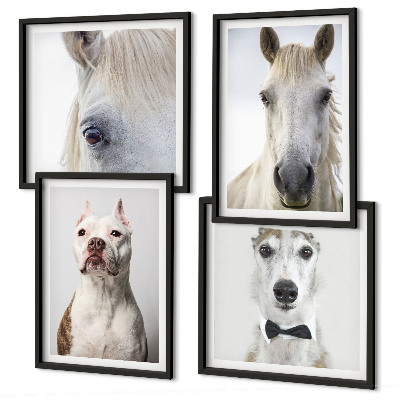 Set of 4 wall art pieces Portraits of dogs and horses elegantly