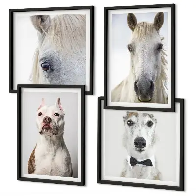 Portraits of dogs and horses wall art set of 4 pieces