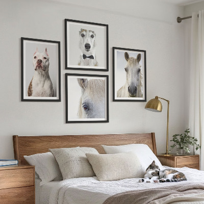 Set of 4 wall art pieces Portraits of dogs and horses elegantly