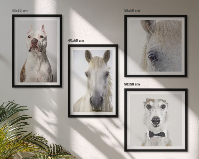 Set of 4 wall art pieces Portraits of dogs and horses elegantly