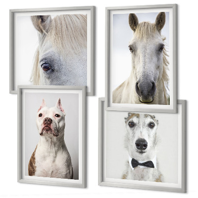 Set of 4 wall art pieces Portraits of dogs and horses elegantly