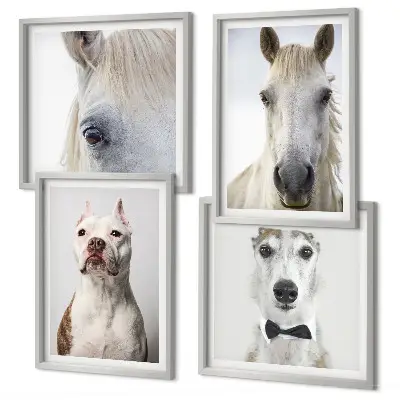 Portraits of dogs and horses wall art set of 4 pieces