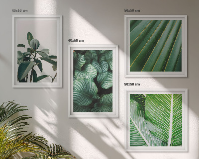 Set of 4 wall art pieces Tropical leaves in green