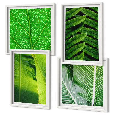 Multi-piece wall decor set Close-up of tropical leaves