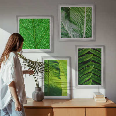 Multi-piece wall decor set Close-up of tropical leaves