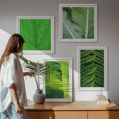 Multi-piece wall decor set Close-up of tropical leaves