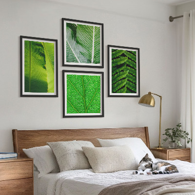 Multi-piece wall decor set Close-up of tropical leaves