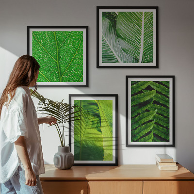 Multi-piece wall decor set Close-up of tropical leaves