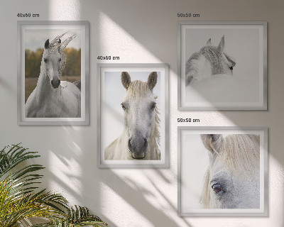 Set of 4 wall art pieces White horses