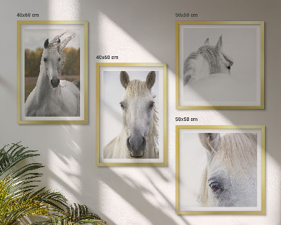 Set of 4 wall art pieces White horses