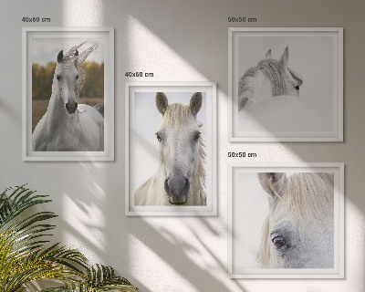 Set of 4 wall art pieces White horses