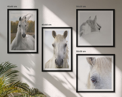 Set of 4 wall art pieces White horses