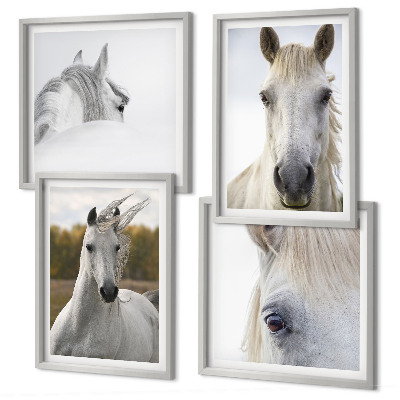 Set of 4 wall art pieces White horses