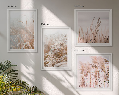 Set of 4 wall art pieces Fields of grass in shades of brown and beige