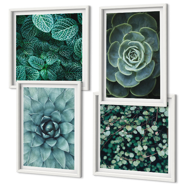 Set of 4 wall art pieces Succulents in green and turquoise