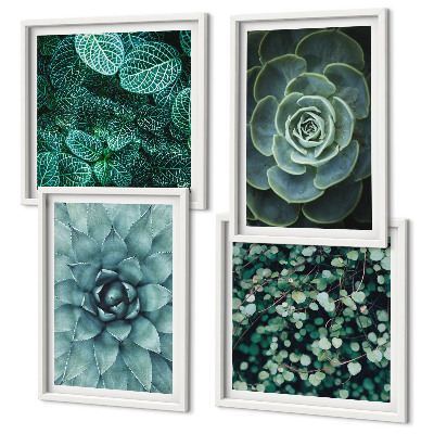 Set of 4 wall art pieces Succulents in green and turquoise