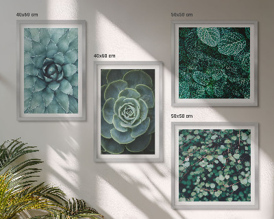 Set of 4 wall art pieces Succulents in green and turquoise